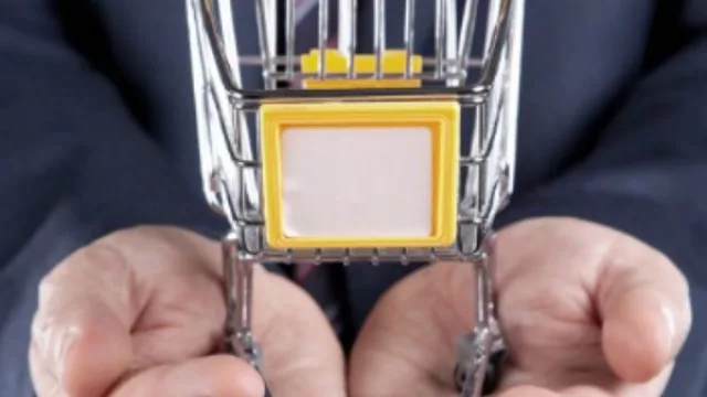 La familia de un profesional ejecutivo ya tiene gastos mensuales de $ 82.770 (camino a las 100 lu-lu)