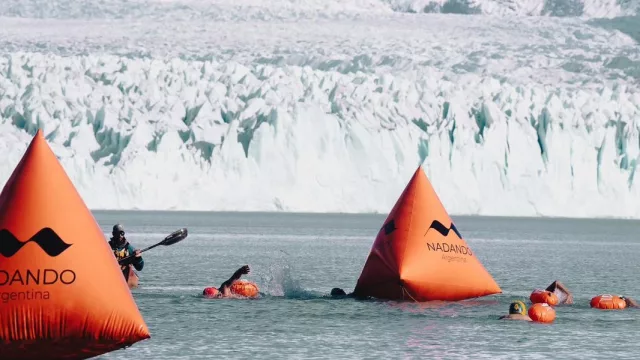 ¿Frío? Solo para los que miran desde afuera: 150 nadadores de 17 países se tiran al lago del glaciar Perito Moreno (sin traje de neopreno)