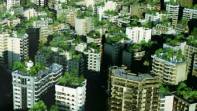 Techos verdes: ¿error legislativo, crítica empresarial desmedida, imposibilidad técnica o miopía ambiental?