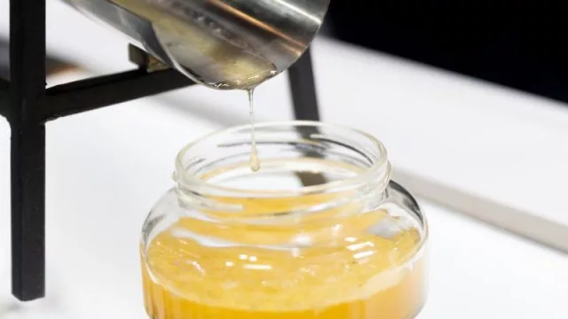 La producción de miel en España se eleva un 20% en la última campaña hasta superar las 33.000 toneladas