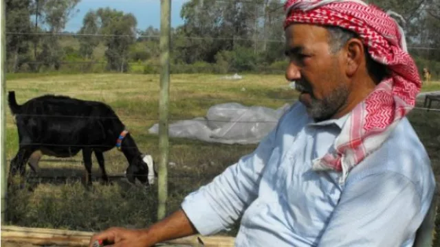 Mere Alshibli, refugiado sirio.