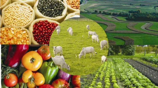 La economía paraguaya “se mueve” pero...