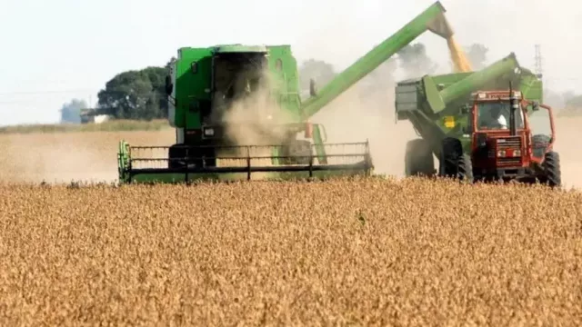 Ahora vos también podés ser sojero o manisero... o todo eso: cómo es la tokenización de campos productivos (y cuánto paga)