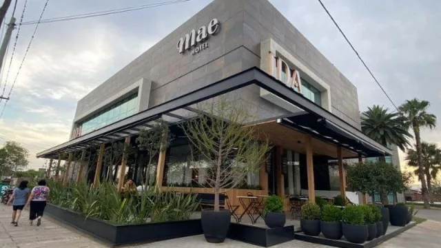 Llegó MAE Singular Hotel a la Gauss para conquistar al público corporativo (30 habitaciones desde $ 8.000 la noche)