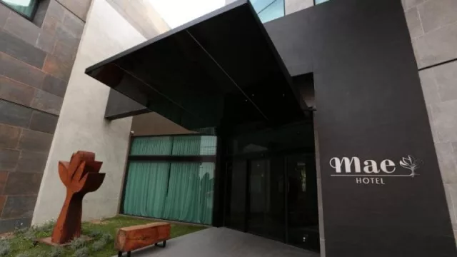 Foto cortesía de Alvaro Corral.