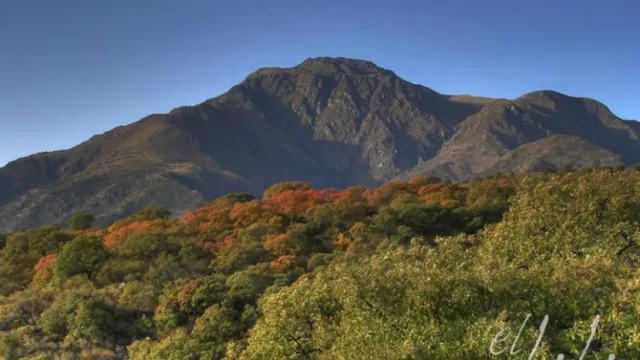 Hoy sale el regalo del 44