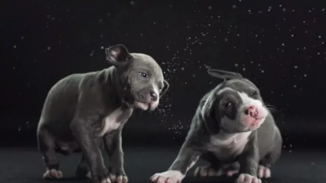 Slow motion: cámaras móviles que graban a 240fps