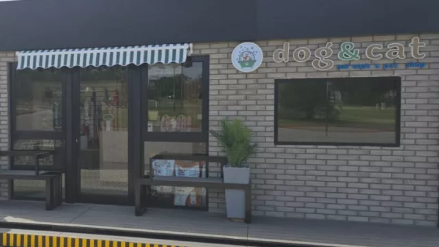 Una experiencia inédita en Córdoba: lavar tu auto y bañar tu mascota en un solo lugar (así funcionará Point Car Wash y Dog & Cat)