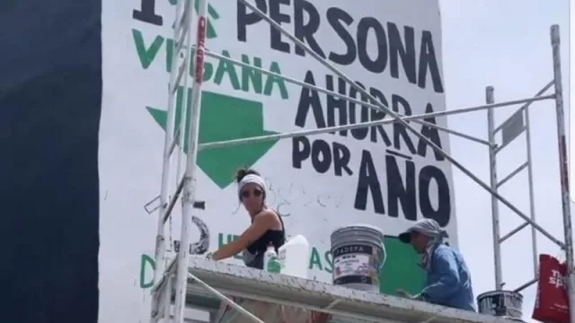 ¿Cuáles son los beneficios de dejar los productos de origen animal? (Molé celebra el día mundial del veganismo)