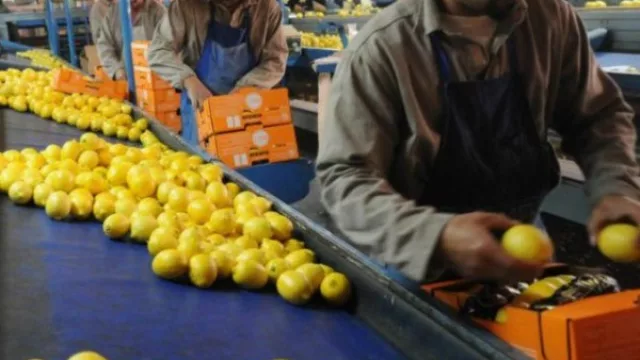 Bajar 30% el flete equivale a subir un 10% el dólar: llegó la hora de reenfocar la competitividad