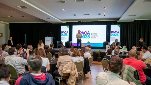 ¿La alfalfa será el próximo maní de Córdoba? Se realizó la plenaria de productores en Sinsacate: el cultivo se consolida con proyección global