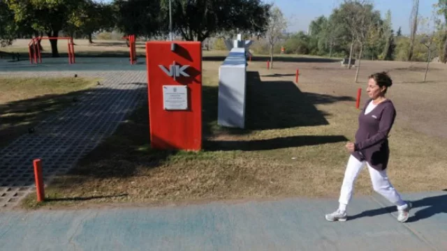 El bosque que desnuda el árbol, dice