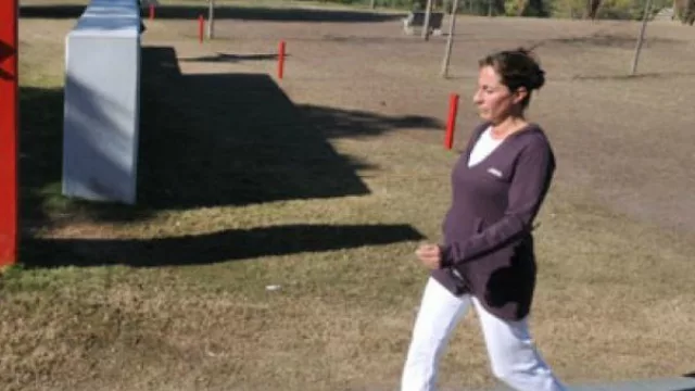 Estacioneros cordobeses plantarán 580 "mini-bosques" urbanos