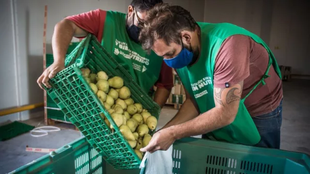 Contra el desperdicio: los Bancos de Alimentos lograron un aumento del 34% en 2024 (17 millones de kilos rescatados)