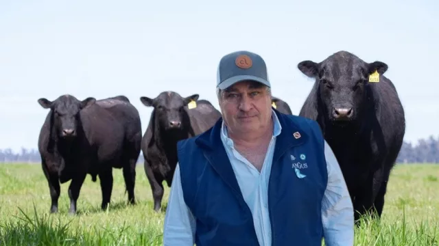 Angus se prepara para brillar en la Expo Ganadera del Centro: una raza con historia y futuro