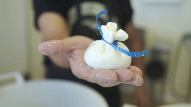 Burrata cordobesa: hay un solo lugar que la produce en la provincia (quién es y cómo conseguirla)