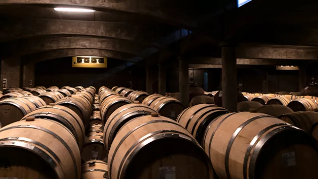 El buen vino también es un buen negocio (30% off en Bodega Piedra Negra)