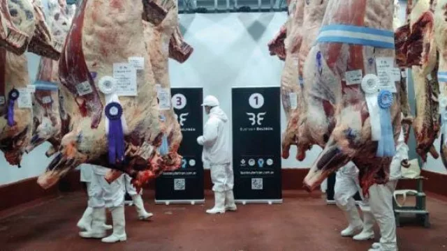 Block Test Jesús María 2025: genética, conocimiento y calidad que marcaron un hito en la ganadería regional