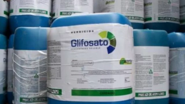 Quién quiera oír... El glifosato no causa cáncer (informe de la EPA de EE.UU.)