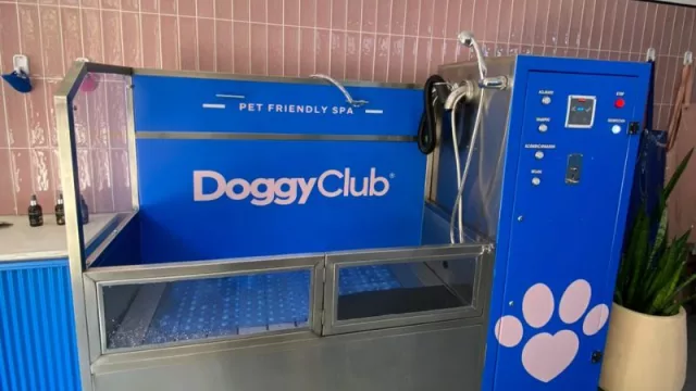 Llegó Doggy Club, el espacio “human friendly” para bañar a tu mascota (en el corazón de Nueva Córdoba)