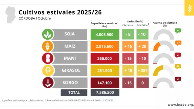 Córdoba pisa el acelerador: se sembró el 35% del maíz y el girasol avanza al 50%