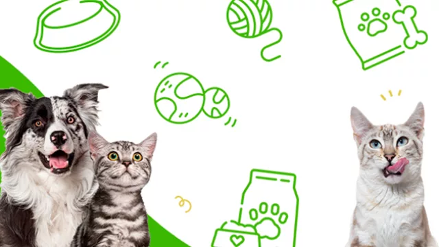 Cuidar a tus mascotas, ahora también es un buen negocio