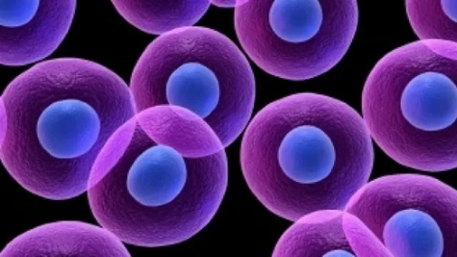 Resultados de encuesta anterior