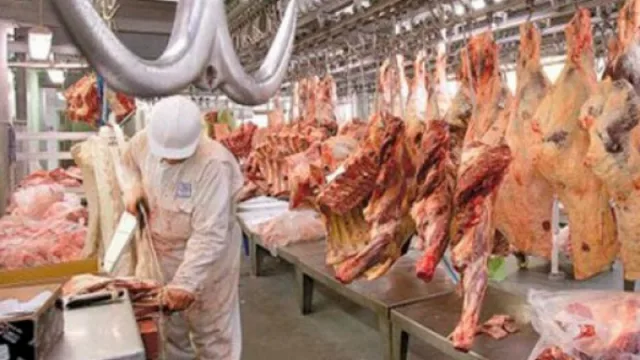 Mafrig (casi) vendió todo en Argentina a un consorcio chino, incluido el frigorífico de Unquillo