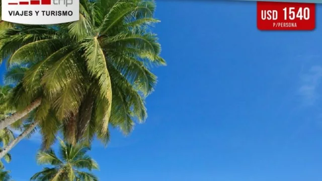 One Trip suma 5 nuevos locales en Córdoba (y mira a Buenos Aires)