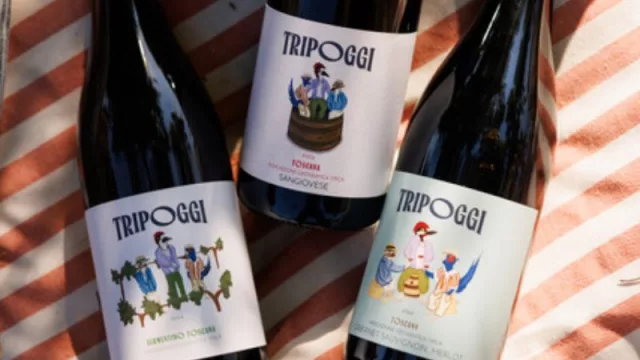 MASI amplía su presencia en Italia con una nueva bodega en la Toscana y presenta la línea de vinos Tripoggi