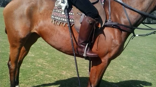 ¿Un taco de polo hecho de dulce de leche? Un cordobés dice haberlo inventado