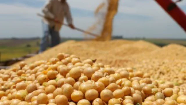 Atención gente de la ciudad: los "gringos" cordobeses tendrán este año US$ 260 M más para gastar