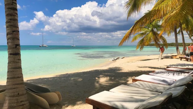 Trips DMC tiene todo listo para la ola de argentinos a República Dominicana (excursiones por tierra, agua y noche en Coco Bongo)