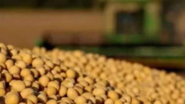 Pasito a pasito, las criptos van ganado mercados: ahora también los agronegocios se “tokenizan” (se hicieron las primeras transacciones de semillas con Agrotokens)