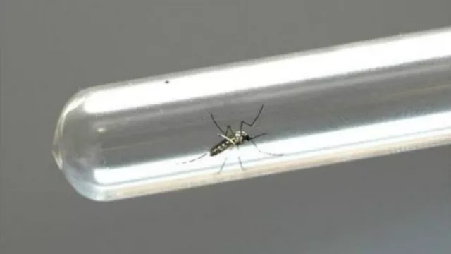 En Canadá suben la guardia por los turistas que vengan al sur