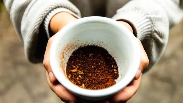 El café más valioso del mundo ya cuesta US$ 30.000 el kilo (no es de África, es de América, pero no de Colombia)