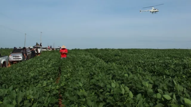 Para el 2020, PY tendría soja resistente a la sequía