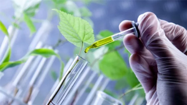 Monsanto muestra su portafolio de innovaciones (mucho más que glifosato)