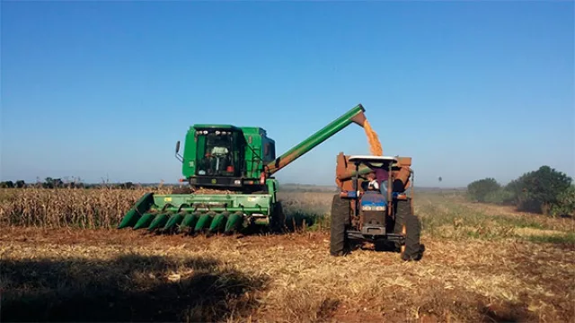 Paraguay busca potenciar el maíz