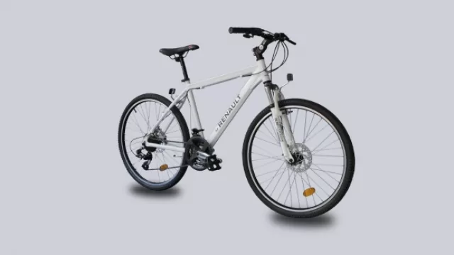 Mountain Bike Adulto