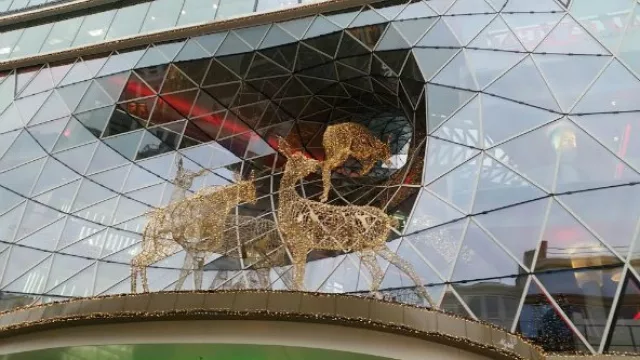 Navidad y glühwein, desde Frankfurt