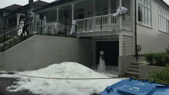 Navidad en Auckland, Nueva Zelanda