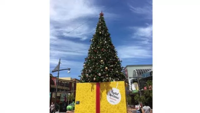 Navidad en Wellington, NuevaZelanda