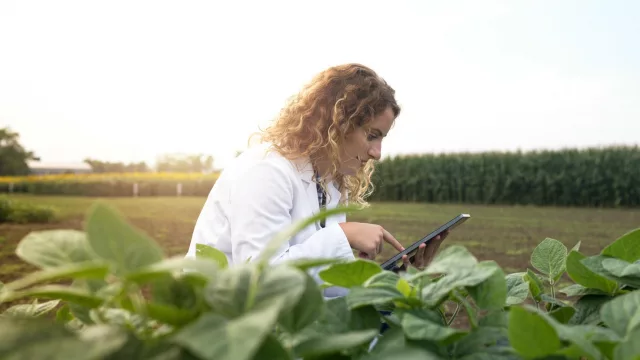 Menos kilómetros, más margen: cómo Agrospot redefine la rentabilidad del agro con datos y cercanía