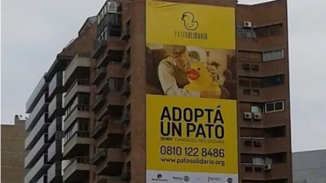 Campaña Pato Solidario, by Mate.