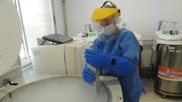 Protectia abrió en Asunción (y completa su expansión nacional en 2016)