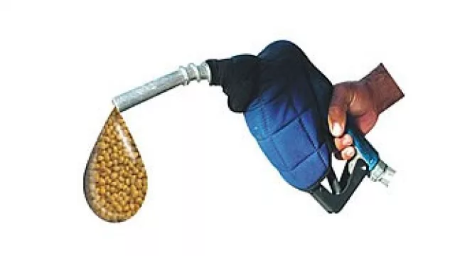 Simple: bajaron las retenciones y aumentaron ventas de biodiésel