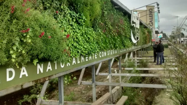 El cartel verde de Coca-Cola Life se “muda” al Kempes