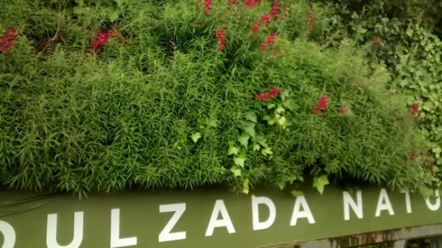 El cartel verde de Coca-Cola Life se “muda” al Kempes