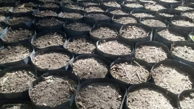 El cartel verde de Coca-Cola Life se “muda” al Kempes